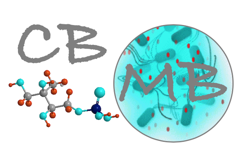 Chimie et Biochimie de Molécules Bioactives